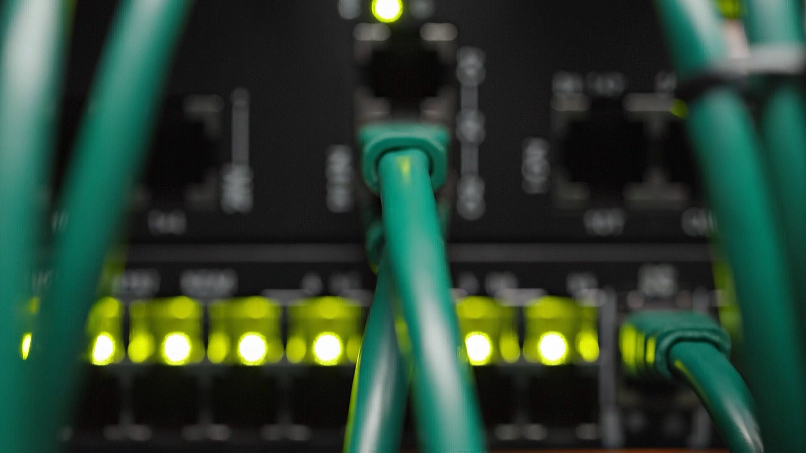 Close view of green patch cords seated in a switch, link lights on.